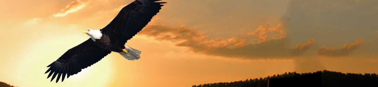 Photograph of bald eagle with distant mountains and the sunset in the background.